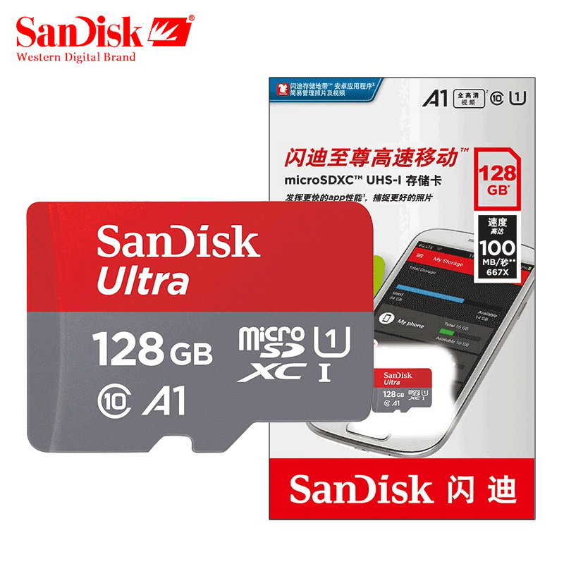 SD Memory Card